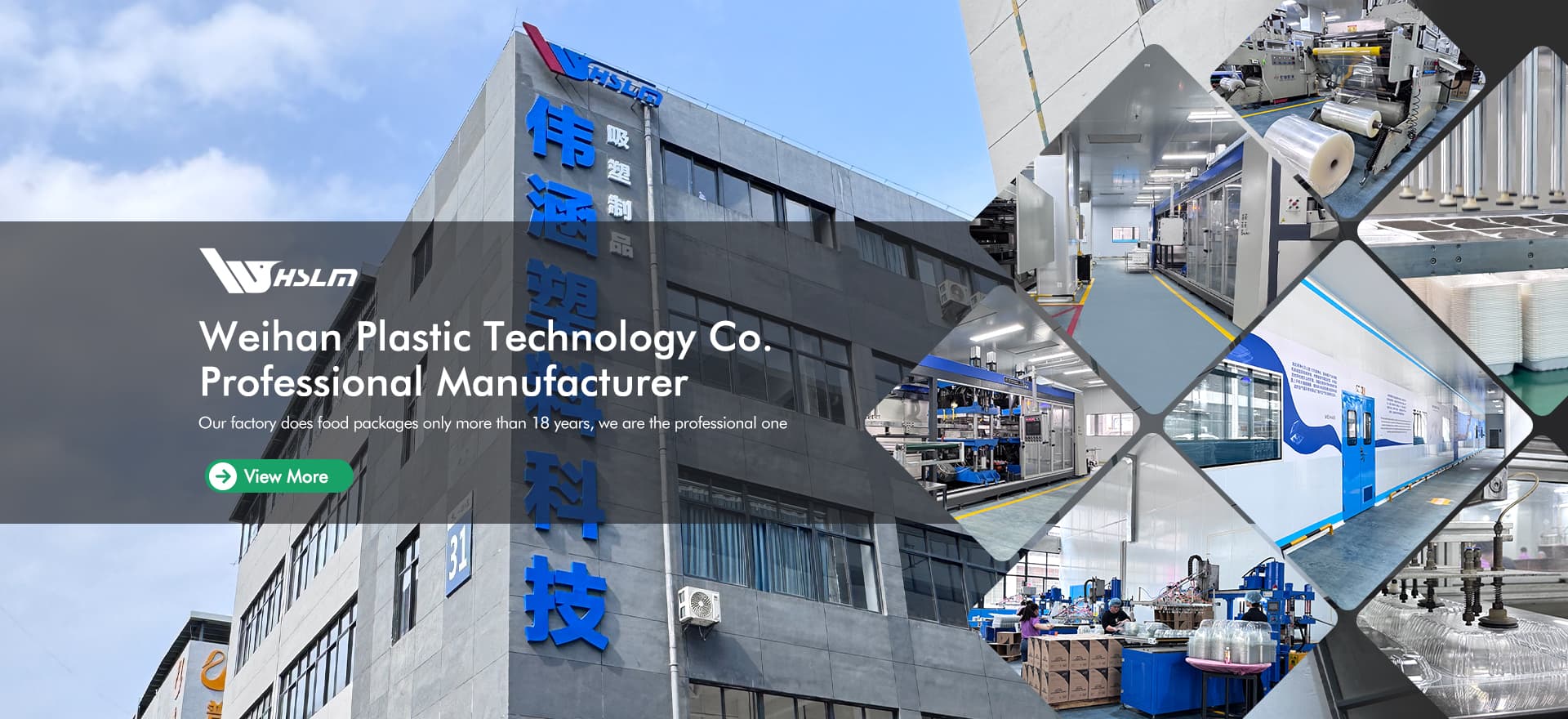 Company Profile - About Us