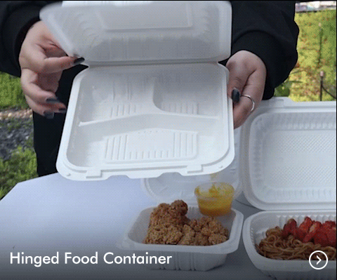 Hinged Food Container